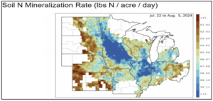 Soil mineralization rate